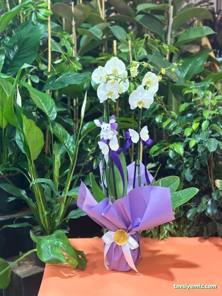 Ezel Çiçekçilik & Çikolata