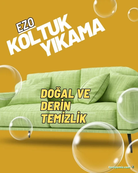 Ezo Koltuk Yıkama
