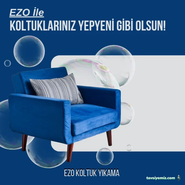 Ezo Koltuk Yıkama