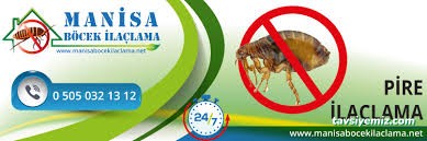 Manisa Böcek İlaçlama