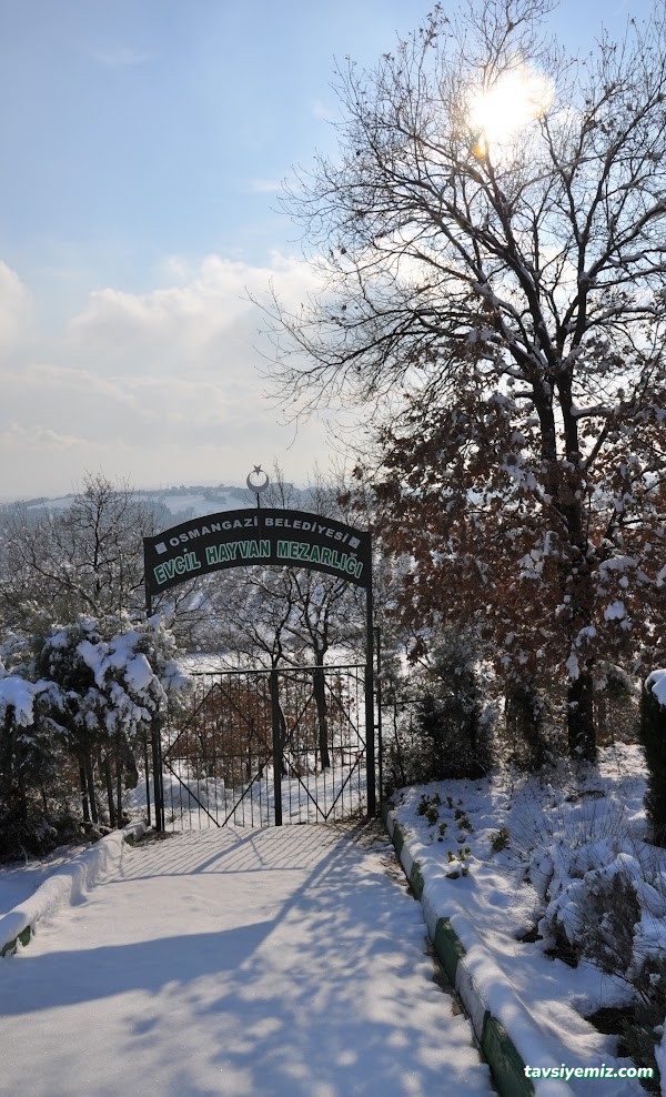 Osmangazi Belediyesi Sahipsiz Hayvanlar Doğal Yaşam Merkezi