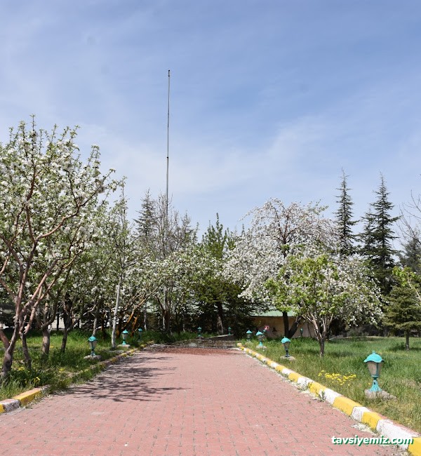 Topuzlu Han Restoran Nevşehir