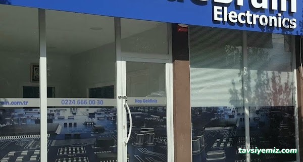 Bluebrain Electronics