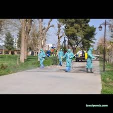 Şırnak Nergis İlaçlama