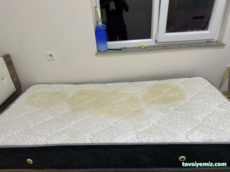 Fadem Koltuk Yıkama