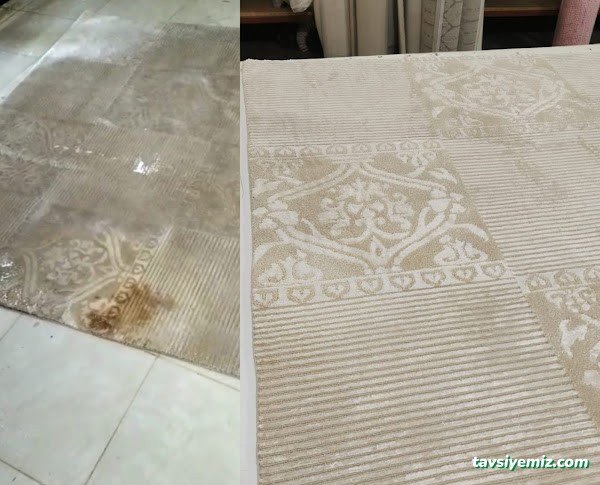 Expert Muğla Halı Yıkama