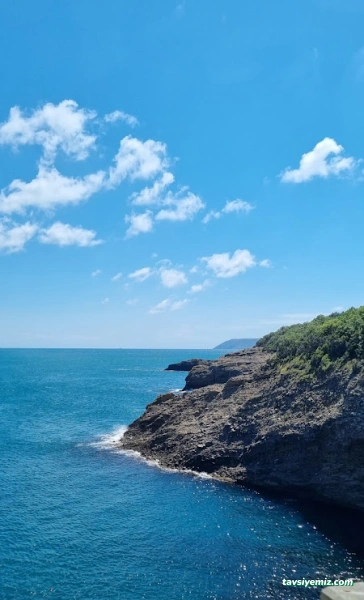 Farma Tur Seyahat Acentası