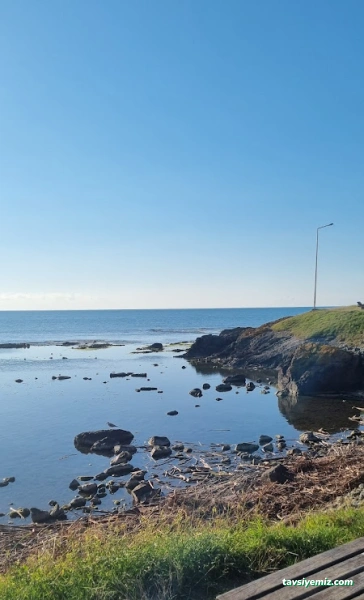 Farma Tur Seyahat Acentası