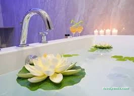 Fatsa Termal & Spa Otel ( Sarmaşık Kaplıcası )