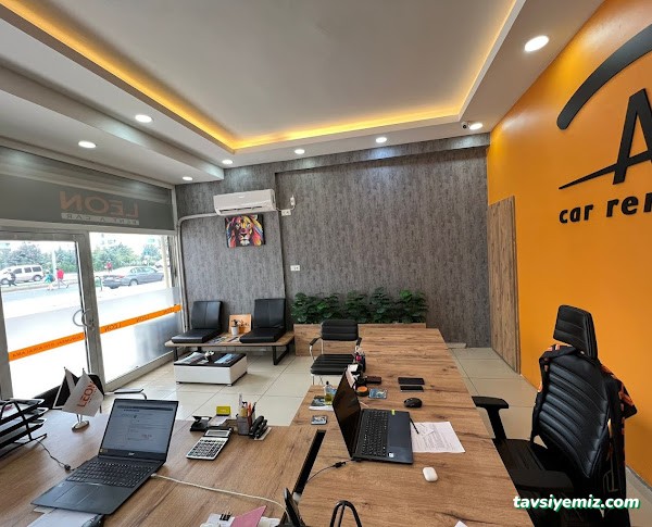 Theleon Araç Kiralama Hizmetleri Diyarbakır