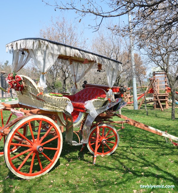 Osmangazi Belediyesi Sahipsiz Hayvanlar Doğal Yaşam Merkezi