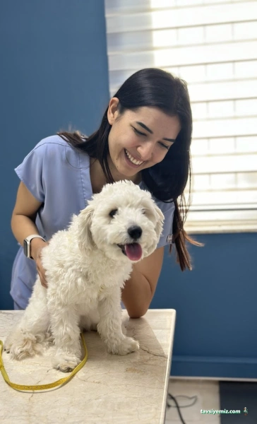 Fethiye Patipark Veteriner Kliniği