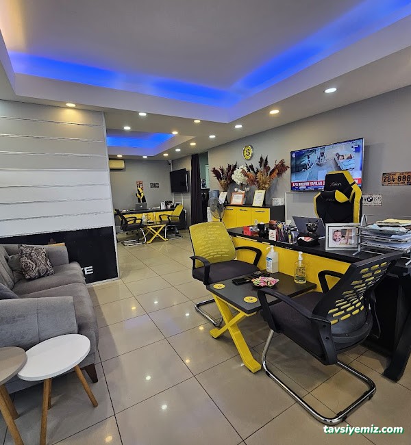 Şövalye Gayrimenkul