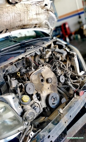 Fidan Otomotiv Sinop