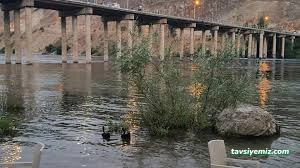 Fırat Canlı Alabalık Tesisi