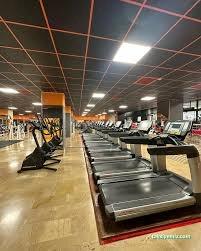 Fit Gym