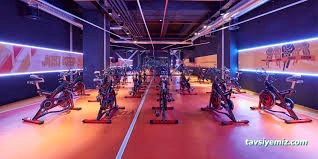 Fitness Park Deluxe