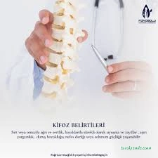 Fizyobolu Fizyoterapi, Manuel Terapi Danışmanlık