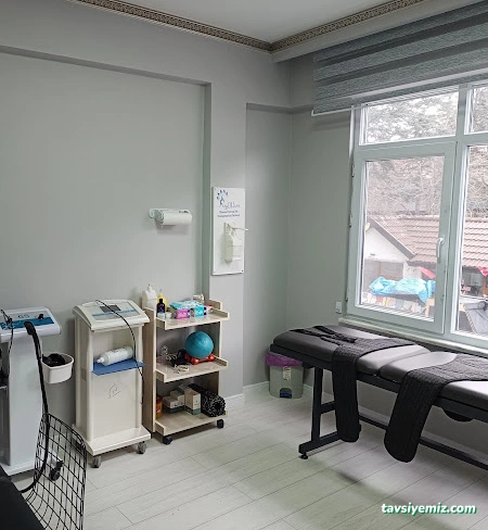 Fizyohane Manuel Terapi Ve Danışmanlık Merkezi