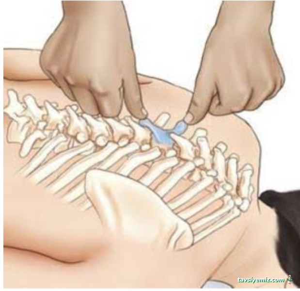 Fizyoterapi Ve Alternatif Tıp Merkezi