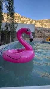 Flamingo Havuz Cafe & Restaurant