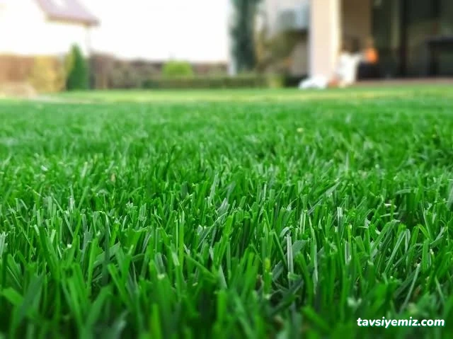 Floria Garden Peyzaj Ve Çiçekçilik