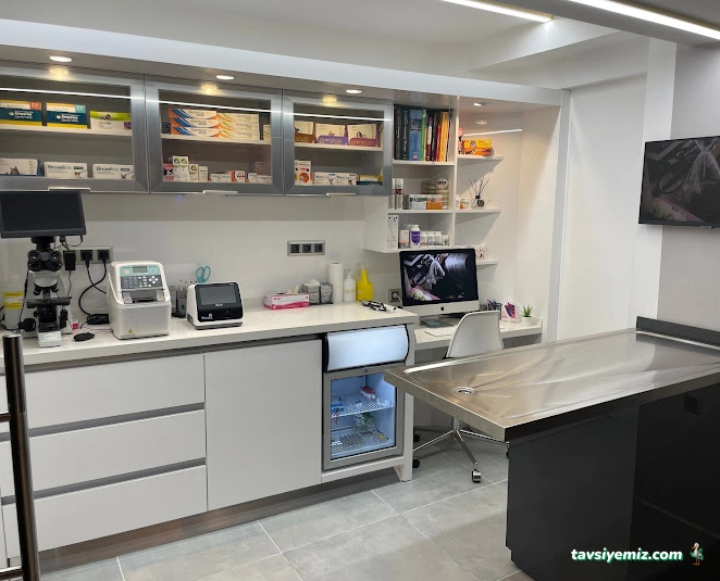 Florya Doğa Veteriner Polikliniği