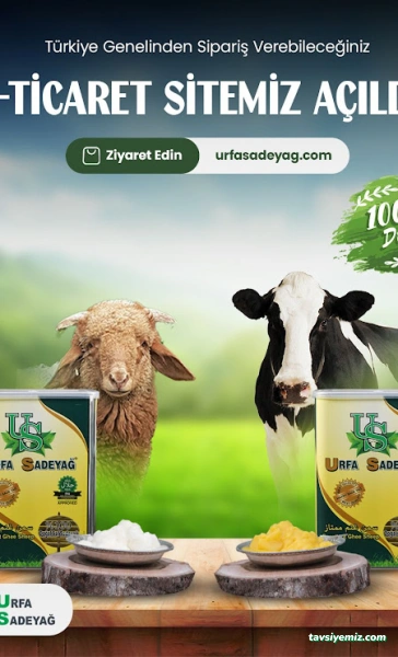 Forse Reklam Ve Bilgi Ajansı Eskişehir Web Tasarım