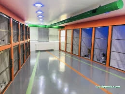 Gap-Vet Kedi Köpek Otel