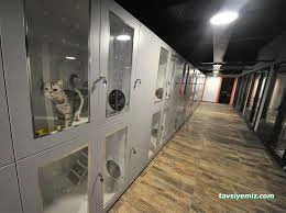 Gap-Vet Kedi Köpek Otel