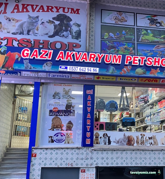 Gazi Akvaryum Pet Shop
