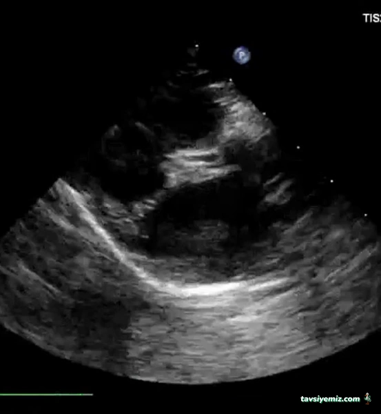 Gazi Veteriner Polikliniği