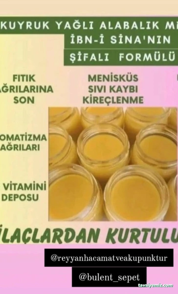 Gaziantep Reyyan Hacamat Ve Akupunktur