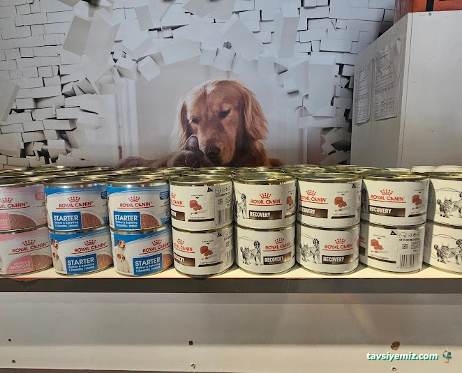 Gaziantep Veteriner Kliniği