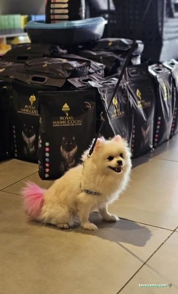 Gaziantep Veteriner Kliniği