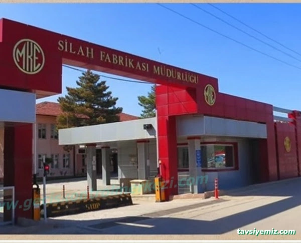 Geçiş Kontrol Merkezi ( Geçiş Kontrol Sistemleri ) Mantar Bariyer Sistemleri