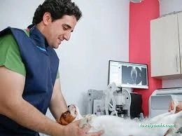 Gençvet Serdivan Veteriner Kliniği