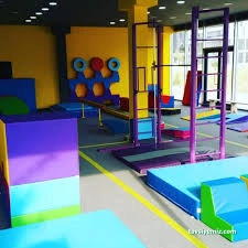 Germiyan Cimnastik Spor Kulübü