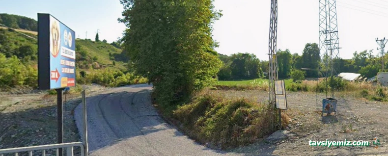 Gerze Belediyesi Sokak Hayvanlari Bakım Evi