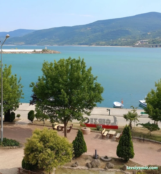 Gerze Orta Aile Çay Bahçesi