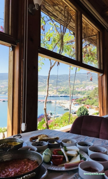 Gerze Orta Aile Çay Bahçesi