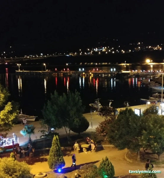 Gerze Orta Aile Çay Bahçesi