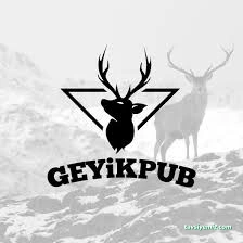 Geyik Pub