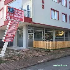 Giresun Hayvan Hastanesi
