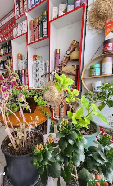 Gizli Bahçe Lokman Hekim Doğal Yaşam