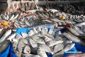 Gökdeniz Balıkçılık