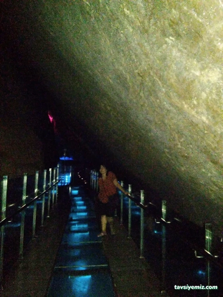 Gökgöl Dinlenme Tesisi