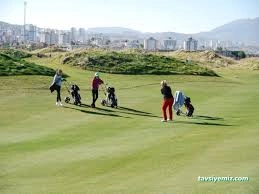 Golf Sahası