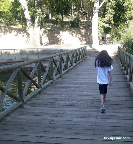 Gölge Kıraathanesi Mesutun Yeri