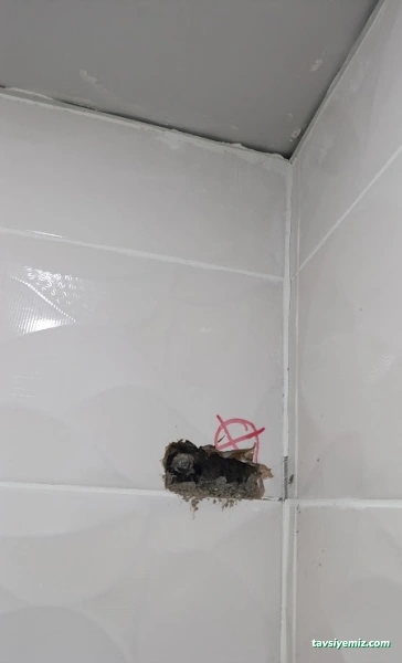 Görüntülü Sucu Kameralı Su Kaçak Arıza Tespiti Cihaz Anlı Tesisatçı Tıkanık Mutfak Lavabo Tuvalet Banyo Gideri Su Sızıntısı
